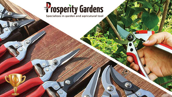 Prosperity Gardens Co., Ltd│HOWMAI｜Rất tốt để mua trong và ngoài nước